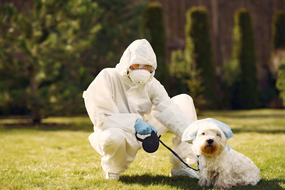 Pet Control Work